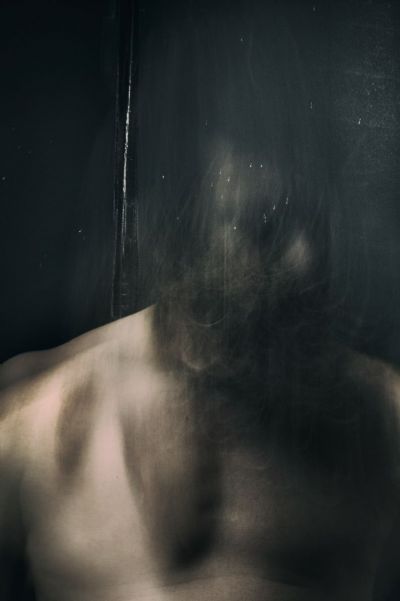 A Portrait of the Wolf