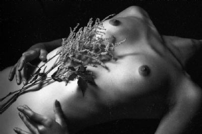 Climax - American Beauty, Youth