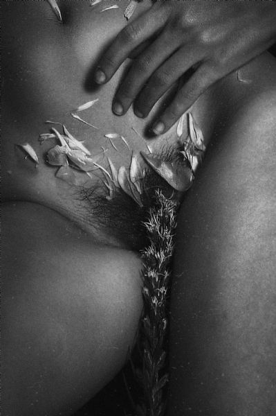 Plucked - American Beauty, Youth