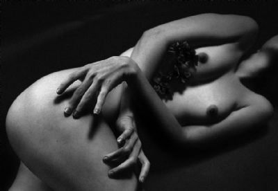 Anxiety - American Beauty, Youth