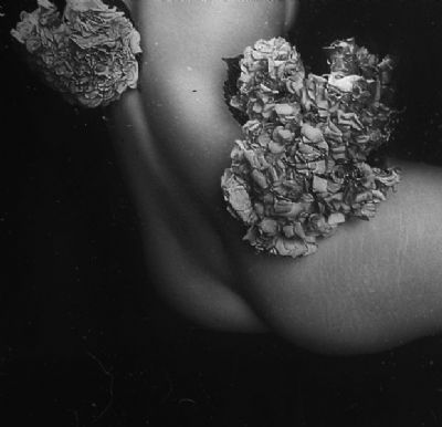 Latent Beauty - American Beauty, Youth