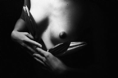 Budding - American Beauty, Youth