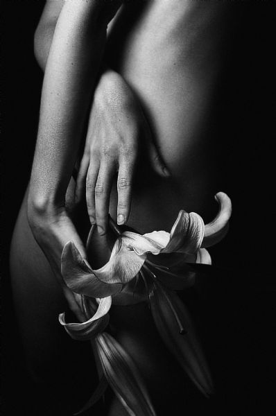 Object of Affection - American Beauty, Youth