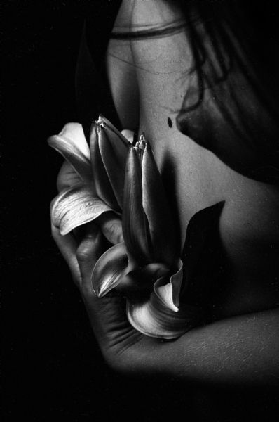 Kiss - American Beauty, Youth