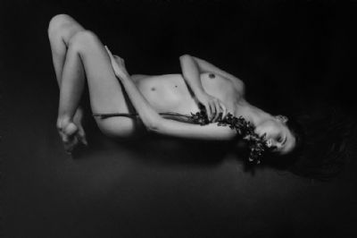 Beauty - American Beauty, Youth