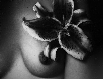 Bloom - American Beauty, Youth