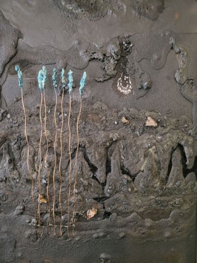 Do Seeds Grow in Fissures