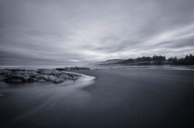 Kalaloch Beach, Forks, WA