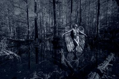 Seraphim