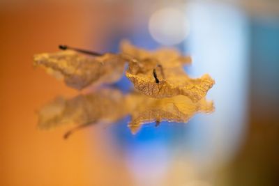 Tell Me If I'll Ever Know