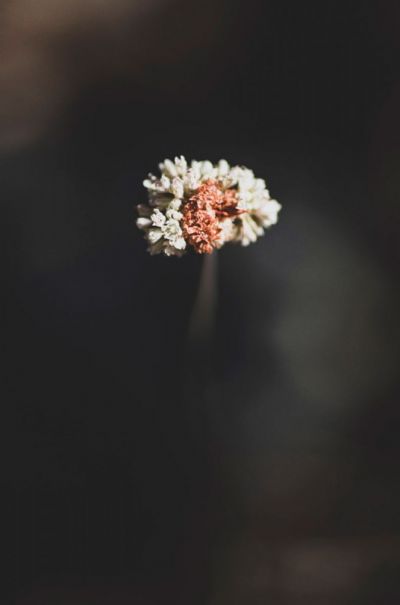 Everything Else In The Universe