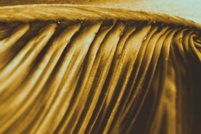 Three Act Structure: One