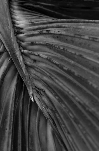 Three Act Structure: Two