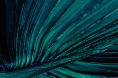 Three Act Structure: Three