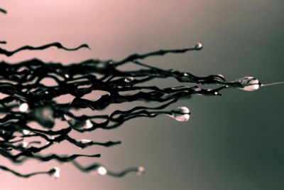 From Her To Eternity