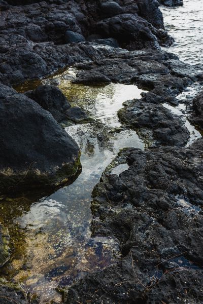 Tidepool