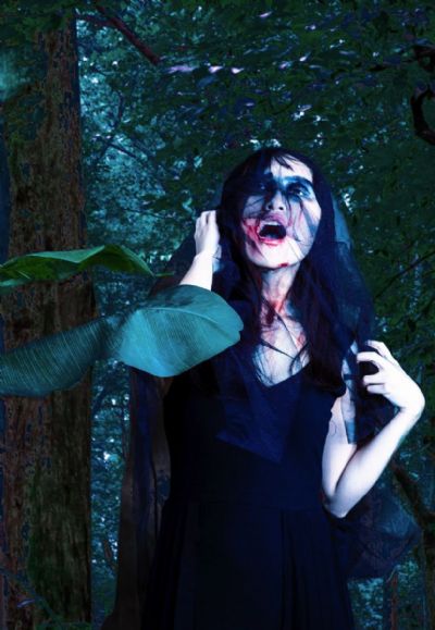 In the Woods