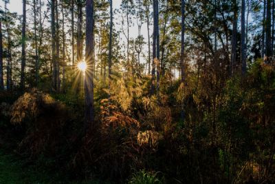 Sunrise at Colt Creek 2