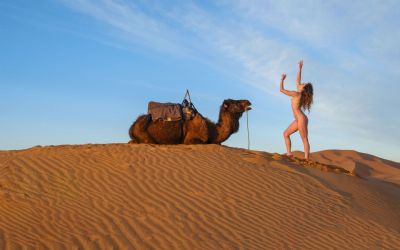 Naked Camel