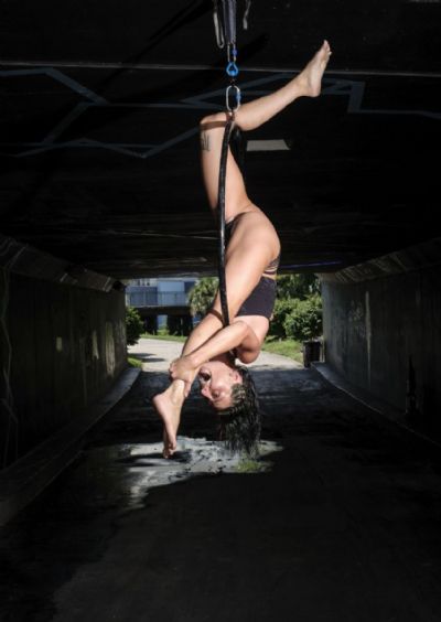Lyra