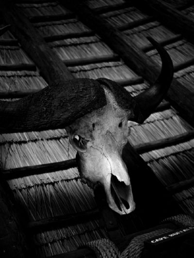 Sinister Skull
