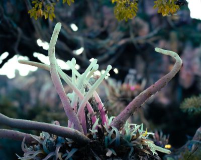 Everything Wants to Kill You