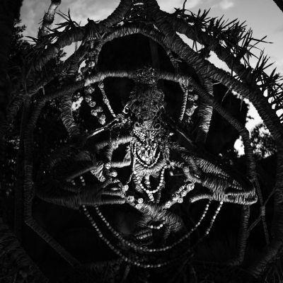 Dreamcatcher