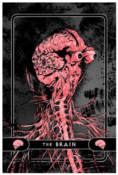The Brain