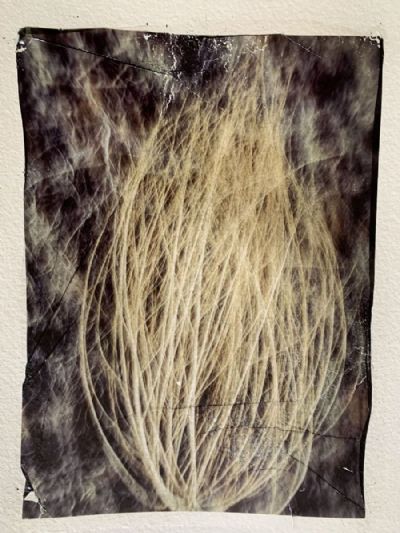 The Mercy of the Wind