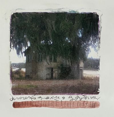 Florida Bar