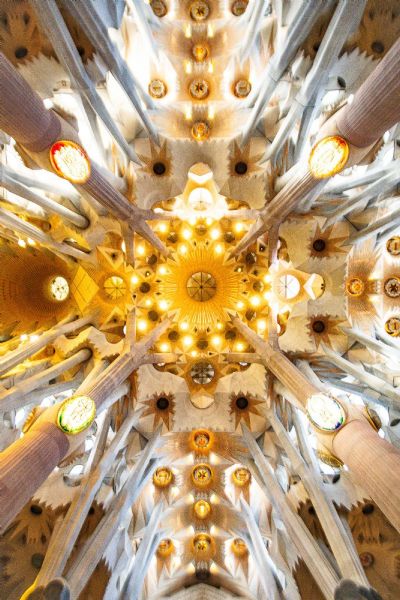 La Sagrada Familia, Holy Grove