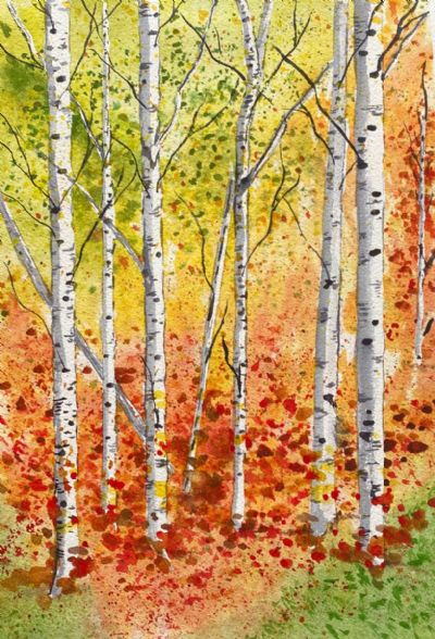 Fall Aspens