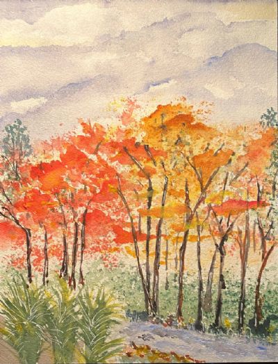 Wyomissing Creek in Fall