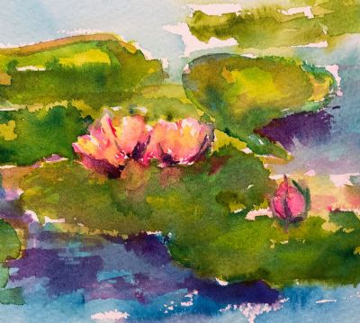 Waterlilies