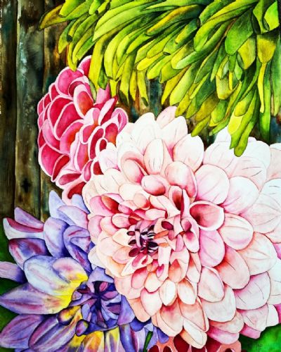 Dahlia's for Days