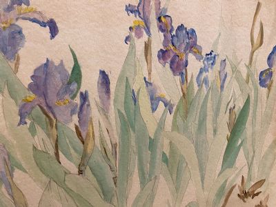 Irises