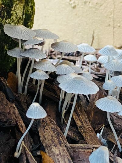 Finding The Light
