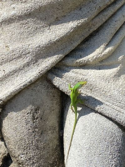 It's Good To Be Neon Green