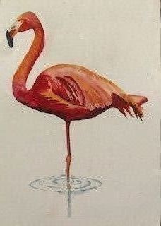 Flamingo