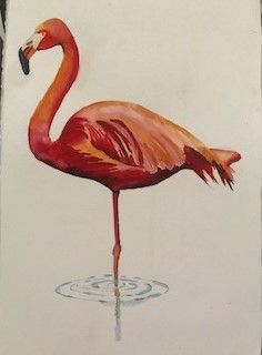Flamingo