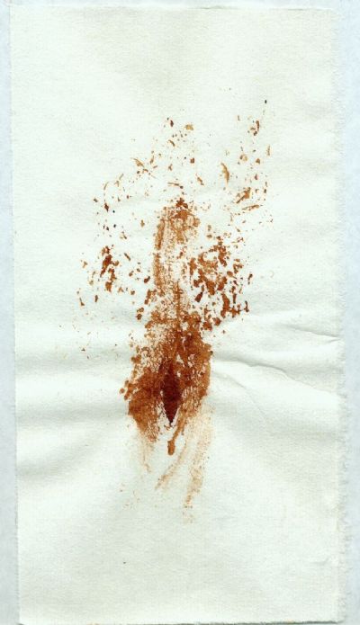 Vulva Print 3