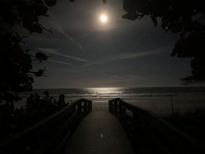 Reflecting Waves - Snow Moon