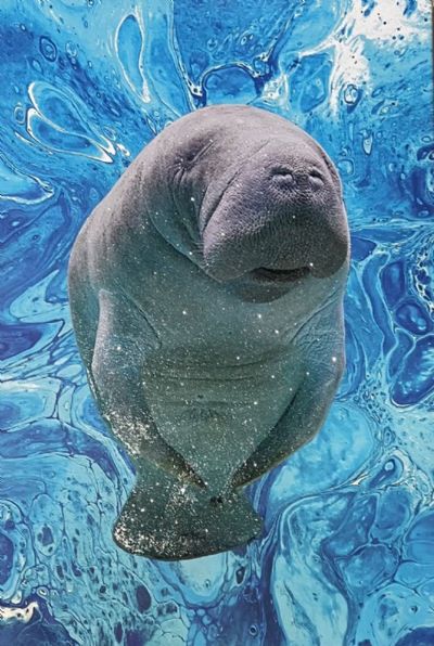 A Blissful Encounter