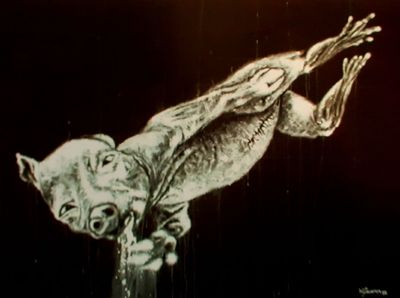 Fetal Pig with Hoof and Face Against Glass Jar