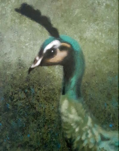 Peacock