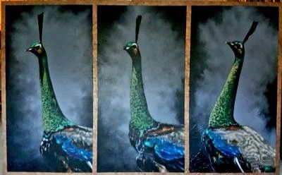Peacocks