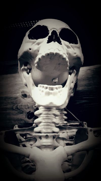 Laugh of the Immortals