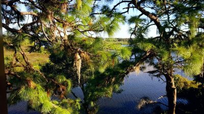 Tarpon Springs water view