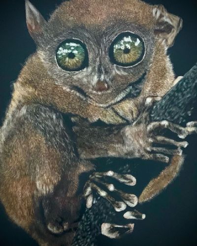 Tarsier