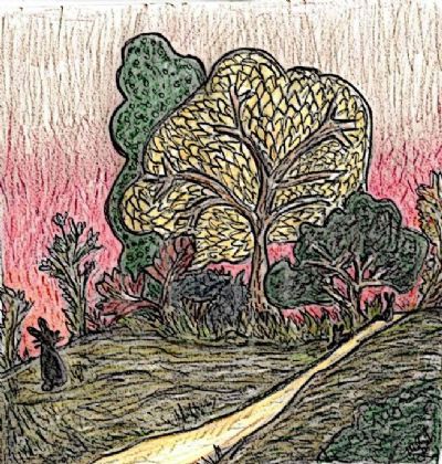 Rabbiits at Twilight